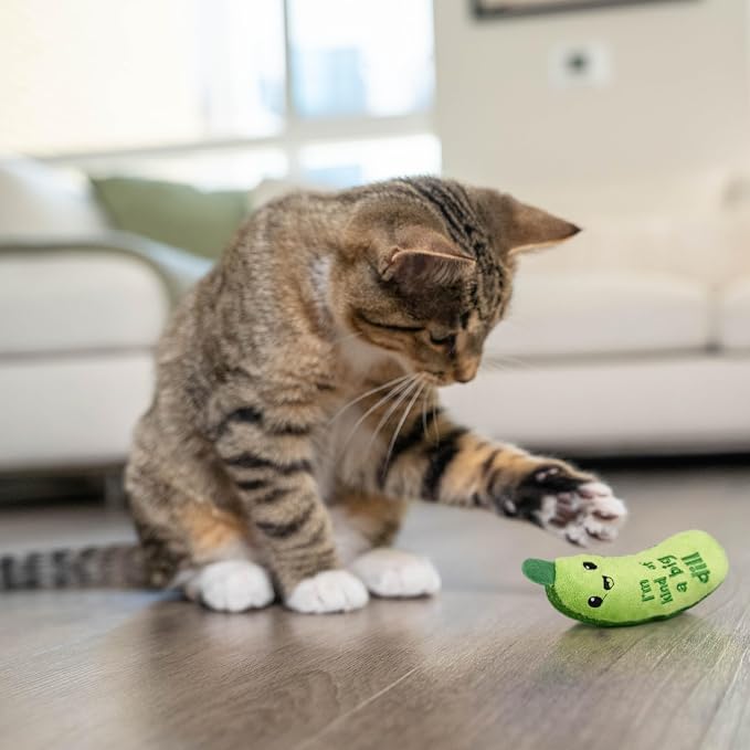 Catstages Crunchy Pickle Kicker Chew Cat Toy, Catnip & Dental Mesh, 6.5" | Crinkle Sounds, Long Plush Body for Bunny Kicking, Helps Keep Teeth Clean & Massages Gums, Indoor Enrichment, Cats & Kittens - Image 8