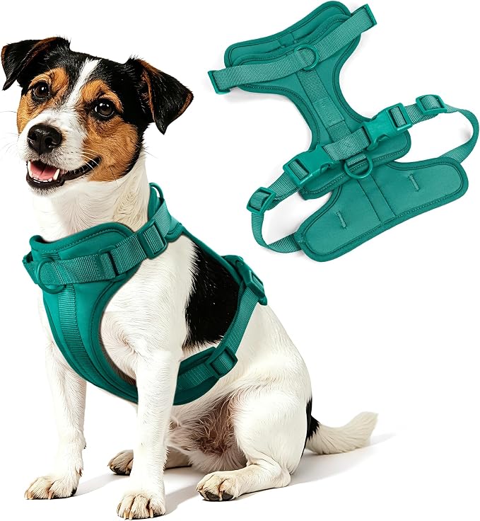 Wisedog Lightweight No Pull Dog Harness, Emerald Green, X-Small | Air Mesh, 3 Clips, Adjustable, No Choke Design, Ideal for Walking Training - Image 8