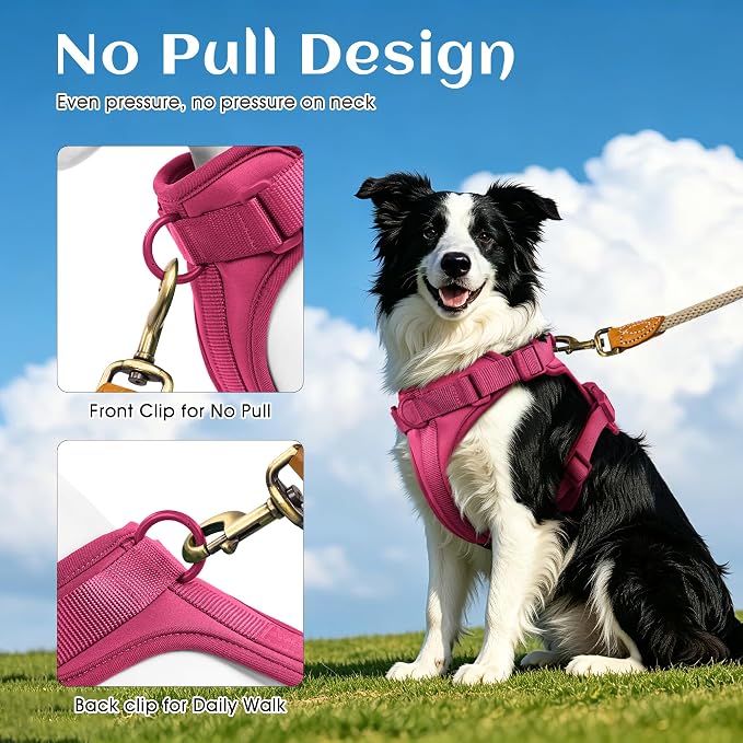 Wisedog No Pull Dog Harness, Peacock Pink, Small | Lightweight, Adjustable Breathable Pet Vest, Soft & Comfortable Cushion, Small Medium Large Dogs - Image 4