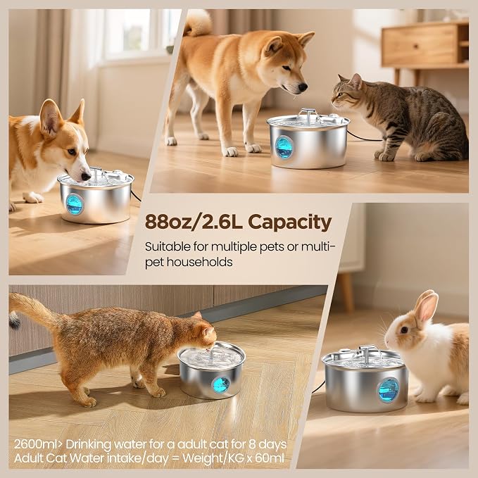 Cat Water Fountain Stainless Steel: Cat Fountain for Drinking with Filter - Pet Water Fountain for Cats Indoor - Automatic Pet Water Dispenser Bowl - 6 Carbon Filters & 3 Foam Filters - Image 5