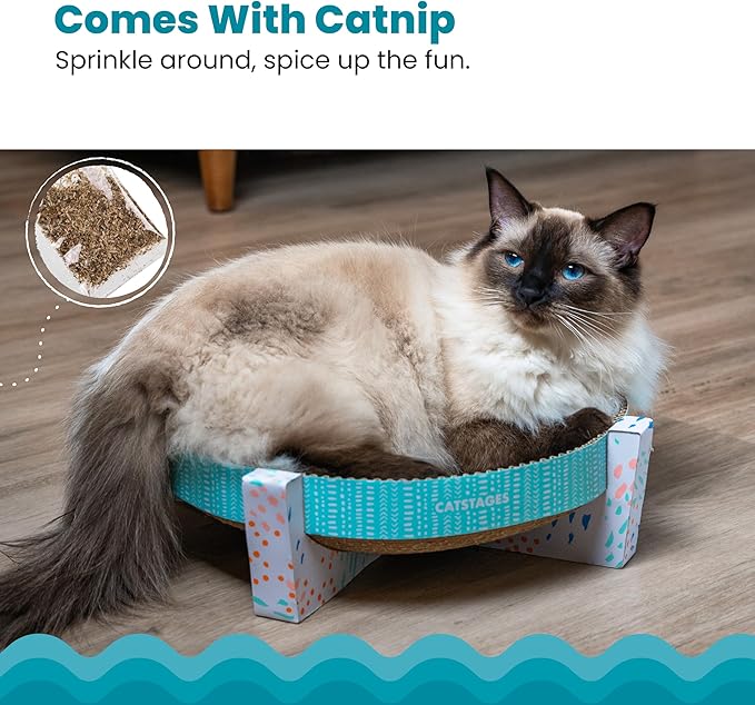 Catstages Scratch,Snuggle & Rest – 2‑in‑1 Indoor Cat Scratcher & Elevated Cat Lounger,Catnip Included,(Pack of 6) - Image 5