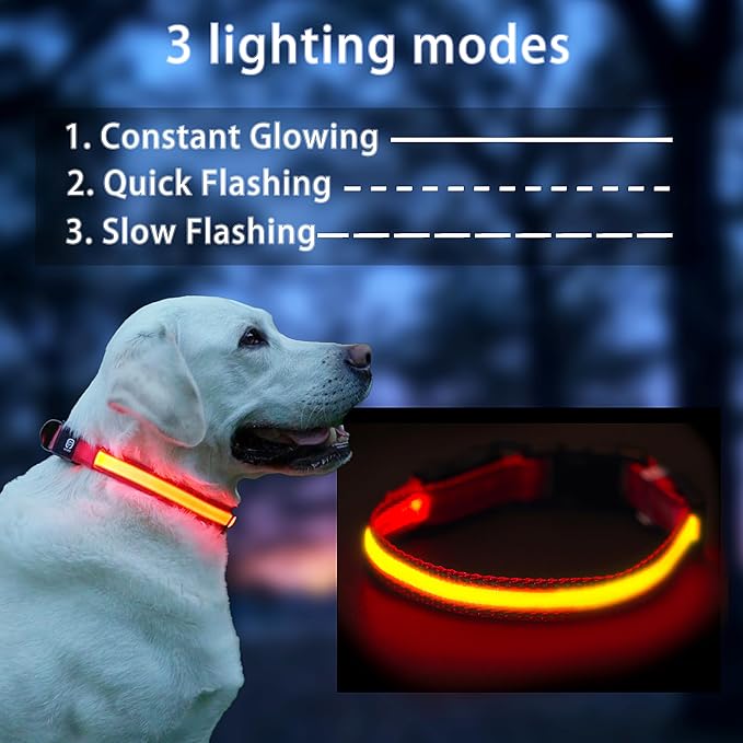 USB Rechargeable LED Dog Collar, Waterproof, Adjustable, Glowing, for Medium Dogs, Night Walking, Camping, Jogging, Red, M (Neck 15-24", Width 1") - Image 2