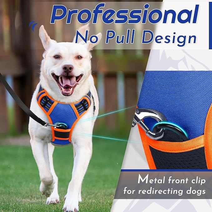 Eagloo Dog Harness for Small Dogs, No Pull Pet Vest with 2 Leash Clips | No Choke with Handle, Adjustable Comfort Fit, Reflective Strips, Easy Walking Control, Blue & Orange, Small - Image 3