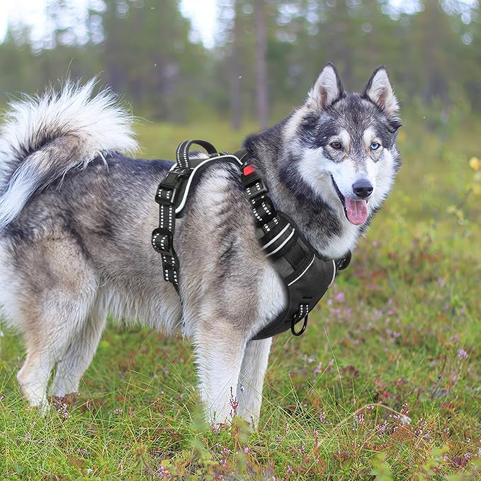 Timos Dog Harness for Large, Reflective No Pull Vest with Handle, Black, L | Quick Release 3 Buckles, Easy On & Off, No Choke, Adjustable Soft Padded, Front & Back 2 Clips and Control Handle for Walking - Image 6