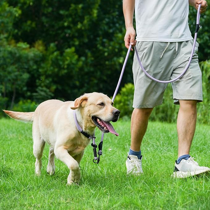 Rope Dog Leash, 4 ft Heavy Duty Dog Leash with Aviation Aluminum Auto Locking Carabiner, Strong Nylon Pet Lead for Small, Medium, Large Dogs (Purple, 4FT) - Image 5