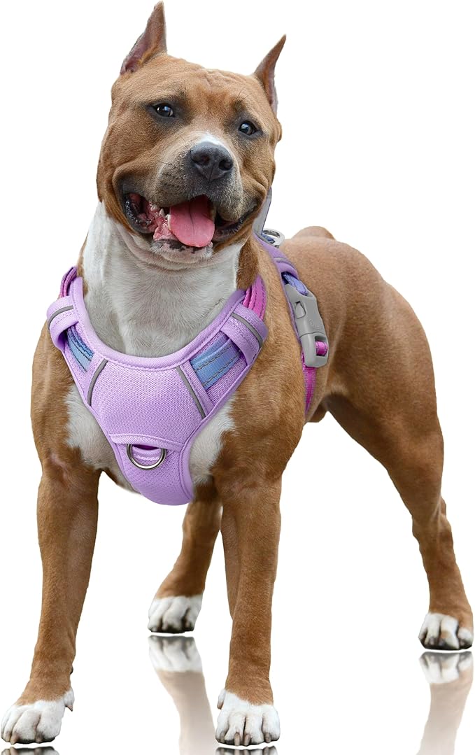 BARKBAY No Pull Dog Harness Large Reflective Dog Harness with Front Clip and Easy Control Handle for Walking Training Running with ID tag Pocket(Lavender Sky,L) by BARKBAY
