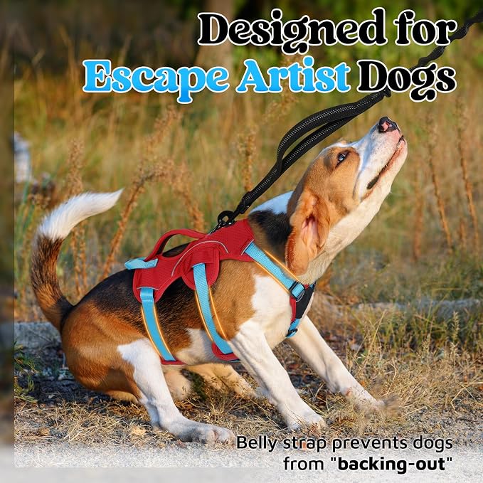 rabbitgoo Escape Proof Dog Harness for Small, No Pull with Lift Handle | No Escape, Full Soft Padded, Reflective Adjustable Vest, Leash Clip for Walking Hiking Training, Sky Blue & Red, Small - Image 2