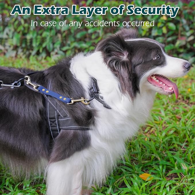 PetBonus Dog Collar Safety Clip, Waterproof Backup Safety Strap | Prong Collar to Harness Connector, Escape Proof, Odor Proof, Easy to Clean, Double Ended Clasp for Training Walking, Blue - Image 4