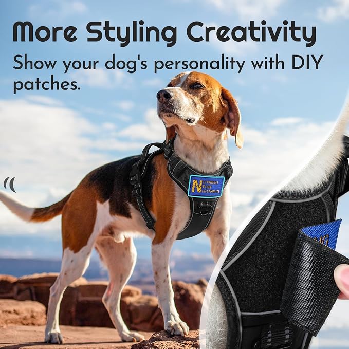 Eagloo Dog Harness No Pull for Large Dogs, Easy On & Off with 3 Buckles | No Choke with Front Clip, Adjustable Fit, MOLLE System, Reflective Vest, Easy Control for Walking, Black, Large - Image 3