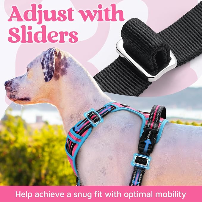 rabbitgoo Dog Harness Small Sized, No Pull 3 Buckles Easy On & Off | Soft Padded, Walking with Control Handle, Adjustable and Reflective, Pink & Blue, Small - Image 5