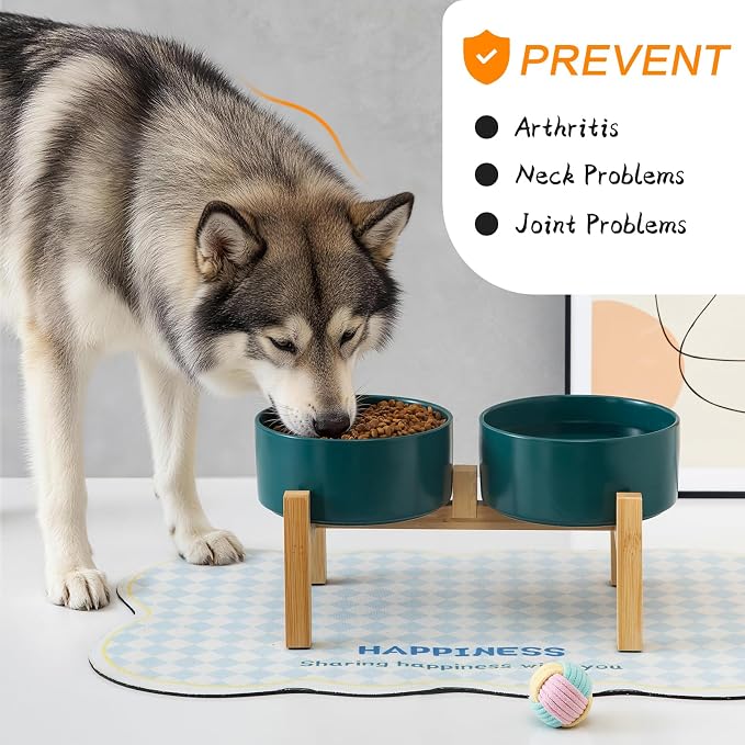 Elevated Ceramic Dog Bowl Set - Raised Dog Bowls with Non Slip Bamboo Stand, Food and Water Bowl Set for Kitty, Cats and Toy Breed Dogs, Pet Bowls, Weighted Dogs Dishes (5.1'', 2*16OZ, Green) - Image 6