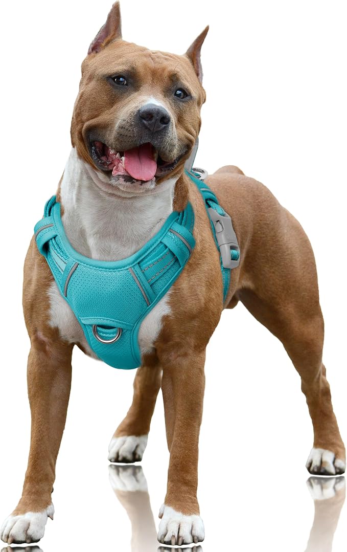 BARKBAY No Pull Dog Harness Large Reflective Dog Harness with Front Clip and Easy Control Handle for Walking Training Running with ID tag Pocket(Ocean Blue,L) by BARKBAY