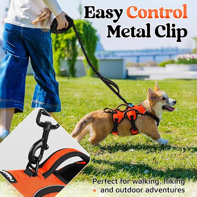 rabbitgoo Escape Proof Dog Harness for Small, No Pull with Lift Handle | No Escape, Full Soft Padded, Reflective Adjustable Vest, Leash Clip for Walking Hiking Training, Orange, Small - Image 5