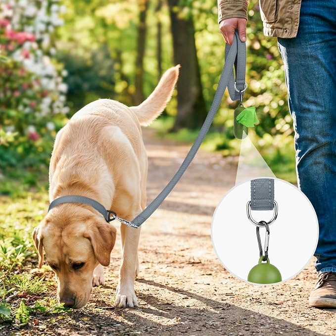 Joytale Reflective Dog Leash for Medium & Large Dogs, 6 FT x 1", Gray | Heavy Duty Nylon Webbing, Padded Handle for Comfort, Visible at Night, for Walking & Training - Image 2