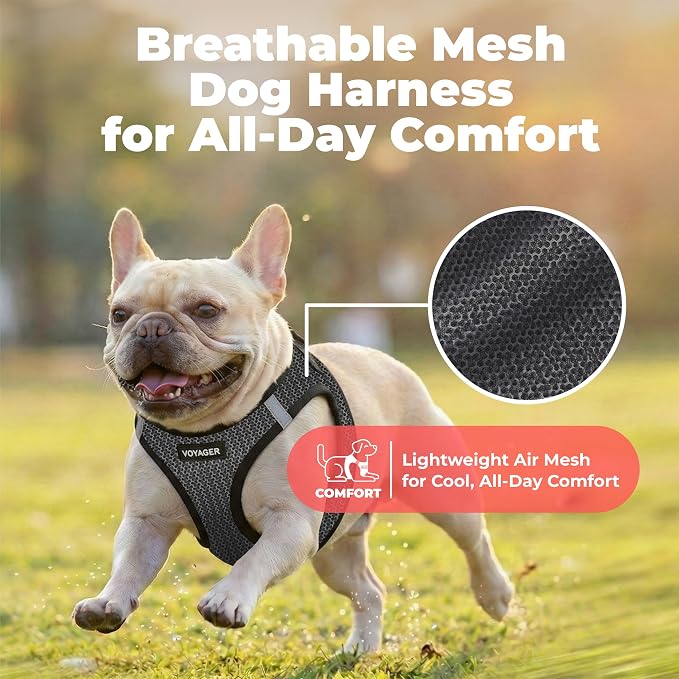 Voyager Step-in Air Dog Vest Harness - Gray 2-Tone, Large | 18- 20.5" in Chest, Reflective Bands, All Weather Breathable Air Mesh, Cats Compatible, Lightweight, Fast Drying - Image 5