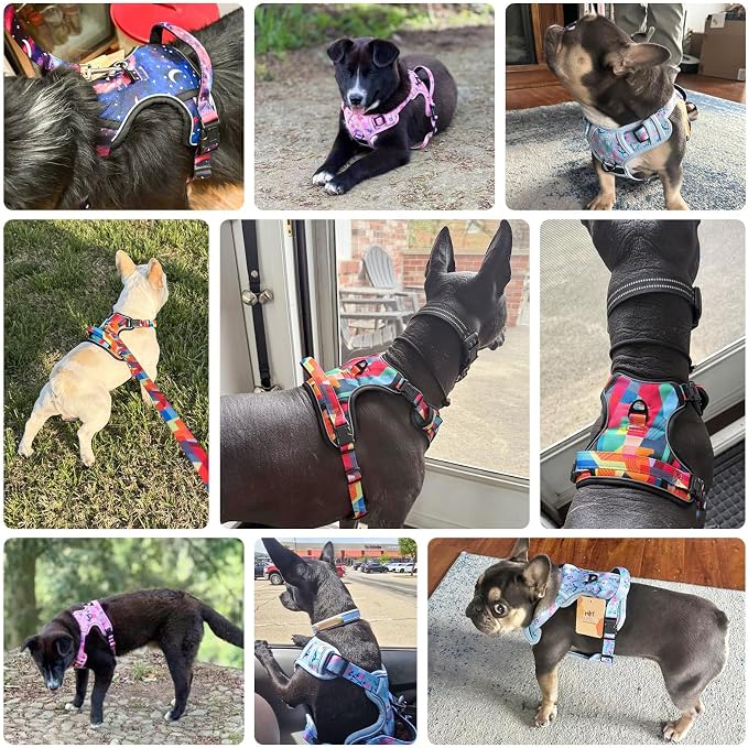 BEAUTYZOO No Pull Dog Harness and Leash Set, Step in Puppy Pet Vest, Large | Reflective with Handle, Adjustable Soft Padded, Easy Control for Walking, No Choke Escape Proof, Lightweight, Grey - Image 2