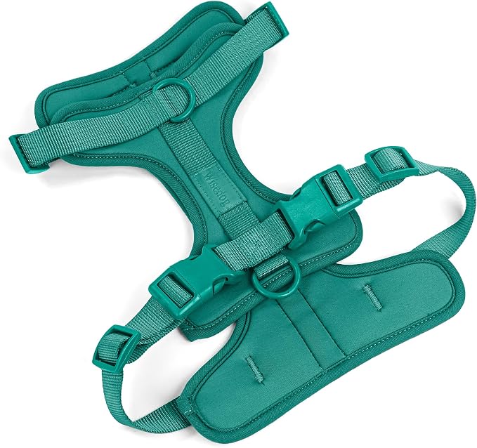 Wisedog Lightweight No Pull Dog Harness, Emerald Green, Medium | Air Mesh, 3 Clips, Adjustable, No Choke Design, Ideal for Walking Training by WisedogPetSupplies