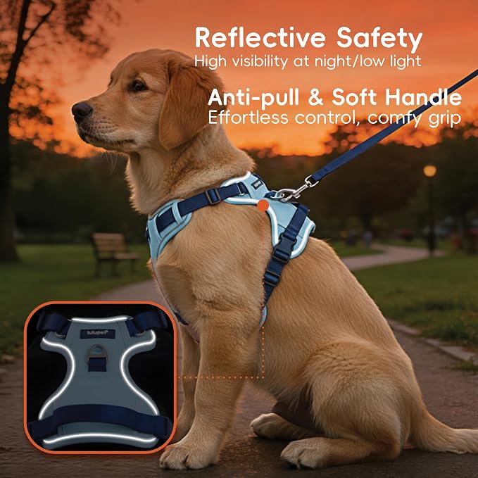 Dog Harness and Leash Set with Collar, No Pull Reflective Pet Vest Harness with Control Handle for Medium Large Dogs Walking and Training - Image 3