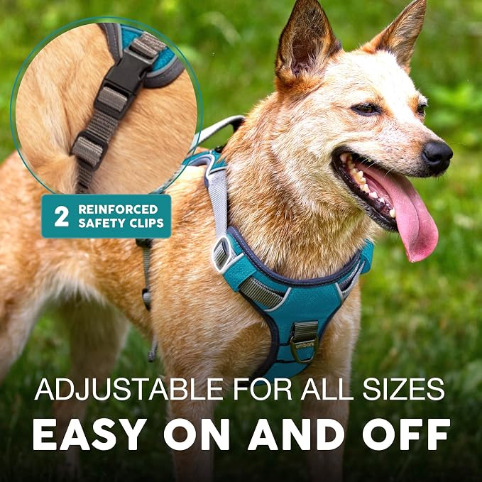 Embark No Pull Dog Harness, Reflective Adjustable Training Vest, No Choke | Adjustable straps fit all dog breeds with sturdy hooks; 360° reflective trim, soft padded Harness Design for All Dogs - Image 5