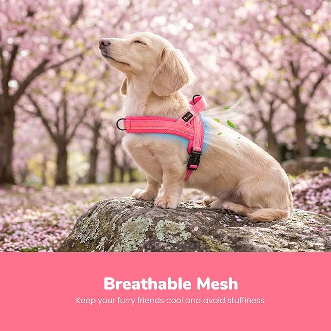 No Pull Dog Harness for Small Dogs, Breathable Mesh Padded, Pink, XS | Quick Fit, Easy On and Off, Lightweight, Reflective Vest Harness for Night Safty, Easy for Walking and Training, Chest 15-18" - Image 2