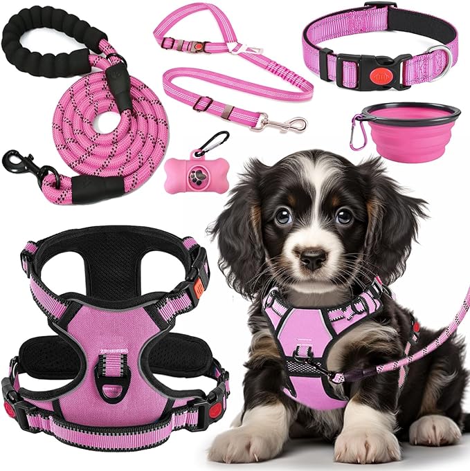 LOBEVE No Pull Dog Harness, Collar & Leash Set with Travel Accessories | Includes Dog Seat Belt, Collapsible Bowls & Poop Bag Dispenser. Ideal for Training, Walking, Hiking. Fits Small to Large Dogs by Lovebegetslove