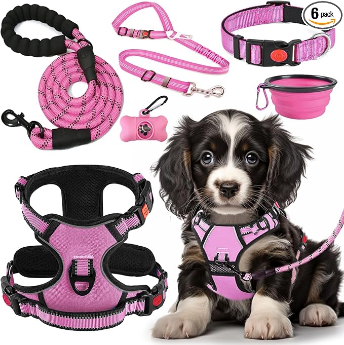 LOBEVE No Pull Dog Harness, Collar & Leash Set with Travel Accessories | Includes Dog Seat Belt, Collapsible Bowls & Poop Bag Dispenser. Ideal for Training, Walking, Hiking. Fits Small to Large Dogs by Lovebegetslove