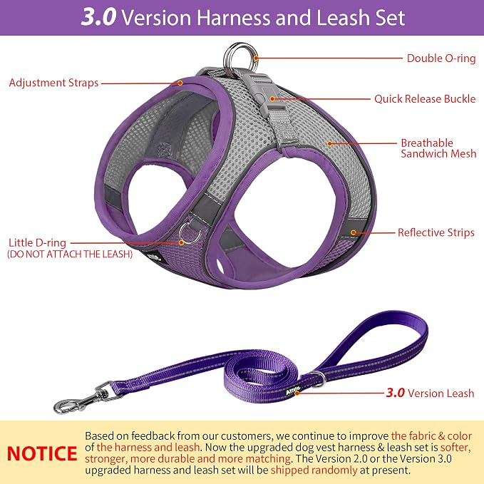 AIITLE Small Dog Harness and Leash Set, Step-in Puppy Pet Vest, Purple XXS | Breathable Mesh, Adjustable Fit, Reflective Design, Padded Leash Handle, for Small-Medium Dogs & Cats, Walking, Training - Image 4