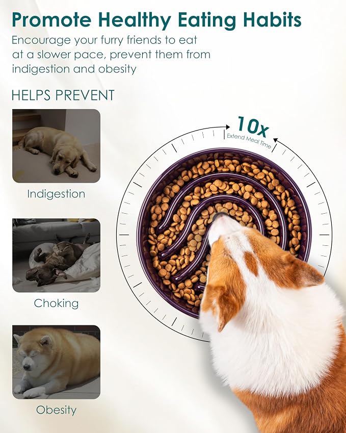 vancasso Slow Feeder Dog Bowl, 1.5 Cup Ceramic Slow Feeding Food Dish for Small and Medium Breed, Puzzle Dog Food Bowl for Fast Eater, Dark Purple - Image 3