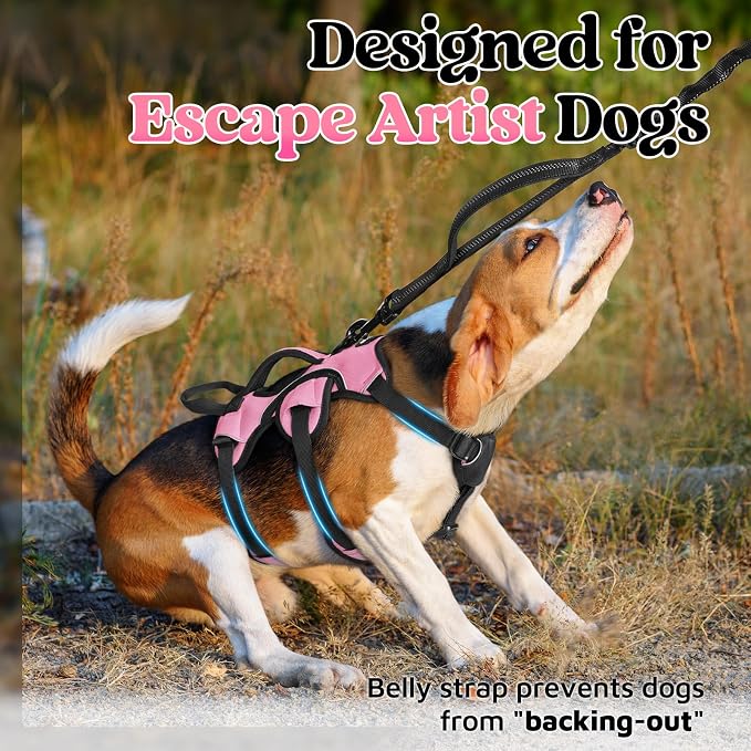 rabbitgoo Escape Proof Dog Harness for Small, No Pull with Lift Handle | No Escape, Full Soft Padded, Reflective Adjustable Vest, Leash Clip for Walking Hiking Training, Pink, Small - Image 2