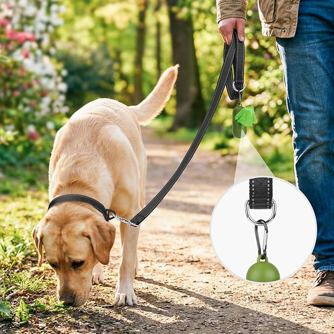 Joytale Reflective Dog Leash for Small Dogs, 5 FT x 3/4", Black | Heavy Duty Nylon Webbing, Padded Handle for Comfort, Visible at Night, for Walking & Training - Image 2