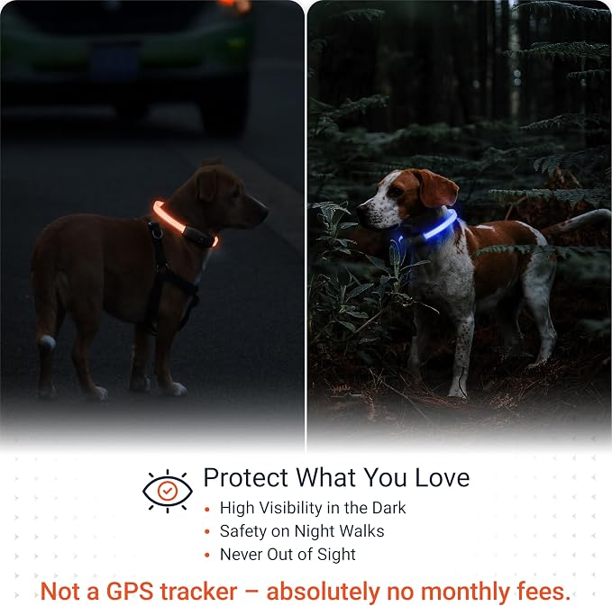 PAJ Light LED Dog Collar for Medium & Large Dogs | USB Rechargeable - Waterproof - 7 Light Colors - Flash Mode - Cut-to-Fit Length - Image 2