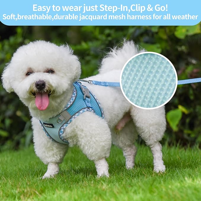 Tiny Dog Harness and Leash Set, Step-in Vest for Puppy, Blue XXXS | No Pull Puppy Pet Vest, Breathable Mesh, Reflective Design with High-Stick Magic Tape, Outdoor Use for Chihuahua, Maltese - Image 3