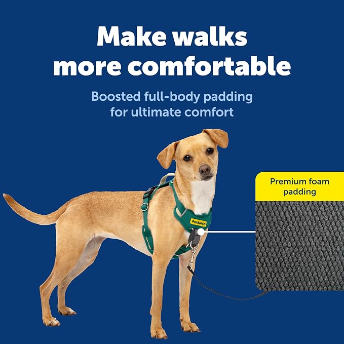 PetSafe Easy Walk Comfort No Pull Dog Harness, Green, Extra Small | Stops Pulling on First Use with Front Martingale Loop, Full-Body Padding, 5-Point Adjustable Fit - Image 3