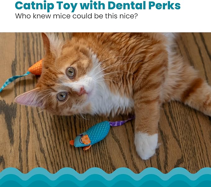 Catstages Catnip Chew Mice 2 Pack– Interactive Dental Cat Chew Toy that Helps Clean Teeth, Mouse, Multicolored - Image 2