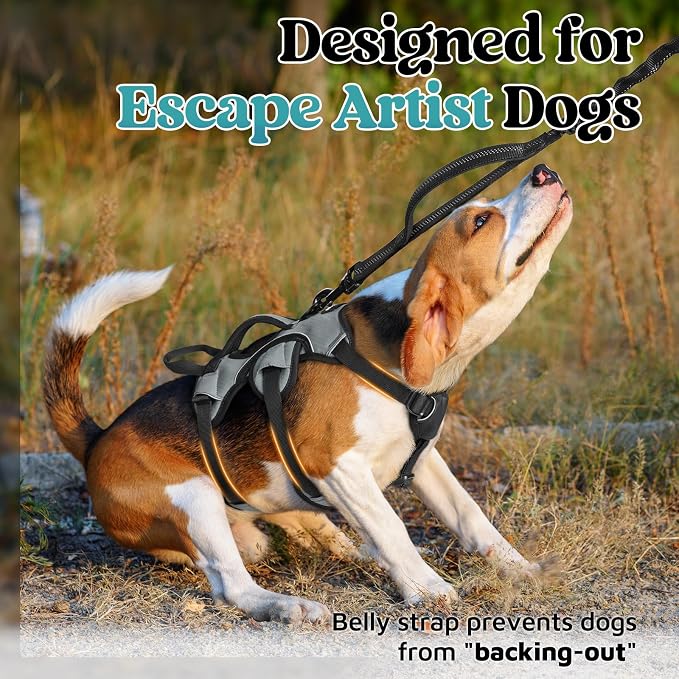 rabbitgoo Escape Proof Dog Harness for Small, No Pull with Lift Handle | No Escape, Full Soft Padded, Reflective Adjustable Vest, Leash Clip for Walking Hiking Training, Grey, Small - Image 2