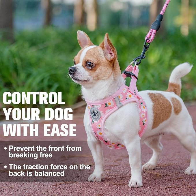 BEAUTYZOO Small Dog Harness and Leash Set,No Pull Puppy Pet Vest-Daisy, XS | Step-in Easy On/Off, All Season Breathable Mesh,Escape-Proof Hook & Loop,Lightweight Reflective,No Choke,Easy Walking Control - Image 6