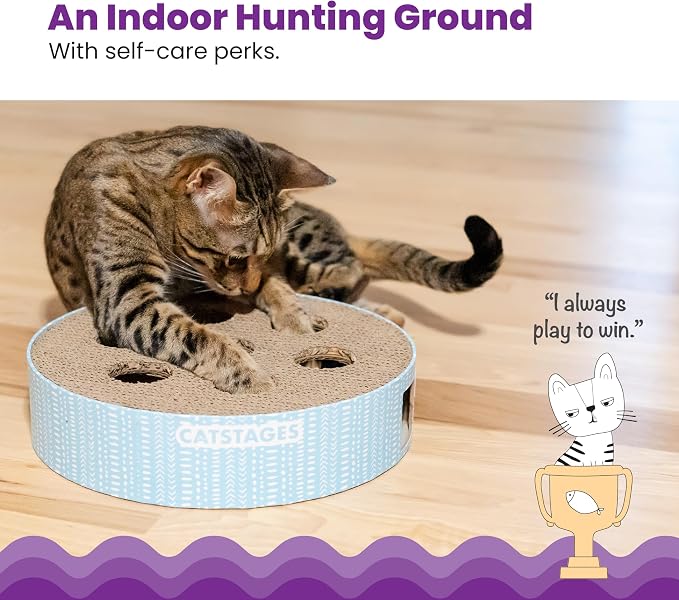 Catstages Scratch N' Hunt Interactive Cat Puzzle Toy with Scratcher, 11" | 7 Hunting Holes, 3 Balls, Corrugated Scratching Pad for Nail Care, Engages Hunting Instincts, Enrichment for Cats & Kittens - Image 2