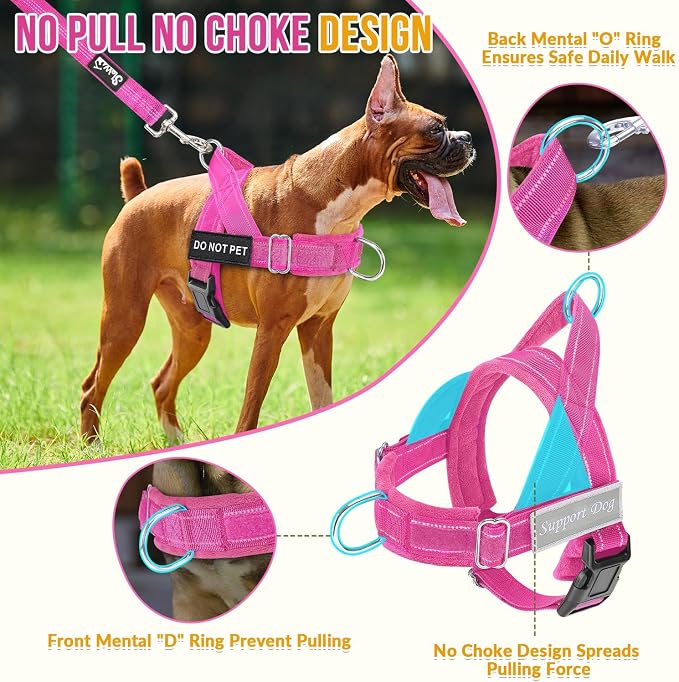 SlowTon No Pull Dog Harness with Front Clip - Heavy Duty, Soft Padded | Neck & Chest Adjustable, Tactical Pet Vest and Leash Set for Large Medium Sized Dogs, for Easy Walk & Training, Fuchsia M - Image 2