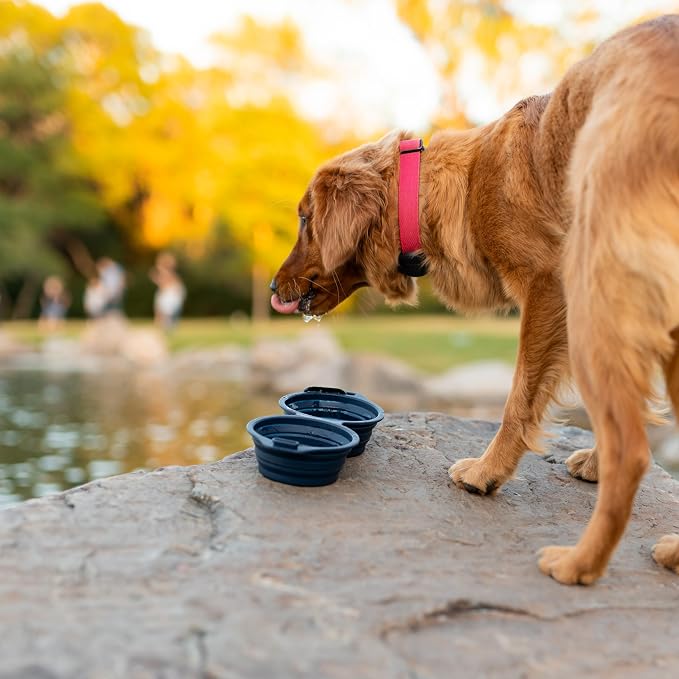 Pup Culture Dual Collapsible Dog Bowls | Silicone Travel Water Bowl for Dogs | Food Grade, No Plastic Rim, Portable Dog Bowl for Food and Water - Easy to Clean | BPA Free and Safe for Your Pup-Navy - Image 7