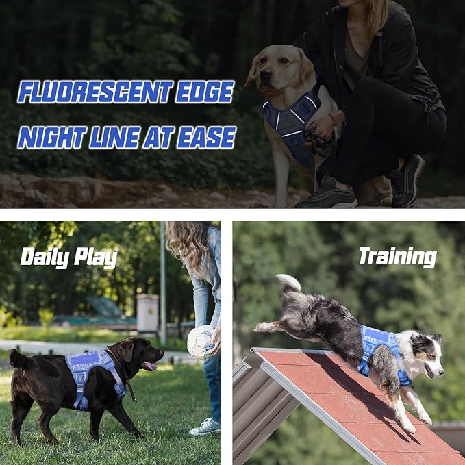 AUROTH Dog Harness for Small Medium Dogs, Tactical No Pull Dog Vest | No Choke, Heavy Duty, Reflective, Military K9, Adjustable, Handle, Easy Control for Walking, Army yellow, Small - Image 6