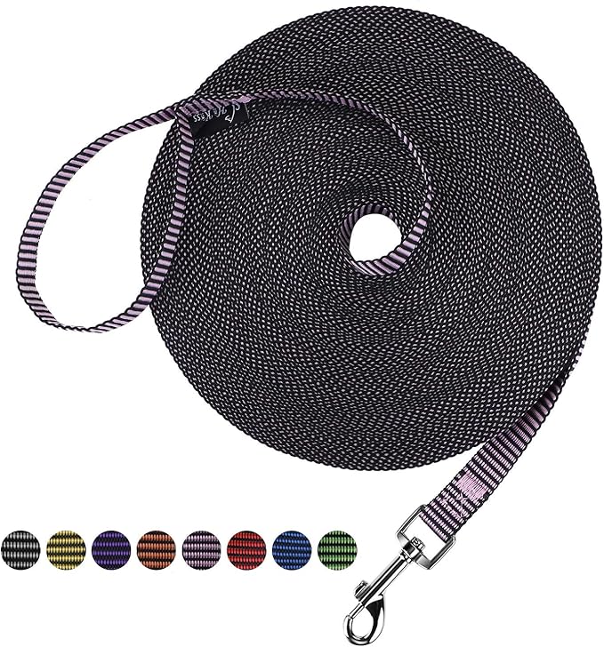 Hi Kiss Dog/Puppy Obedience Recall Training Agility Lead - 15ft 20ft 30ft 50ft 100ft Training Leash - Great for Training, Play, Camping, or Backyard(100ft,BL+PK) by HiKiss