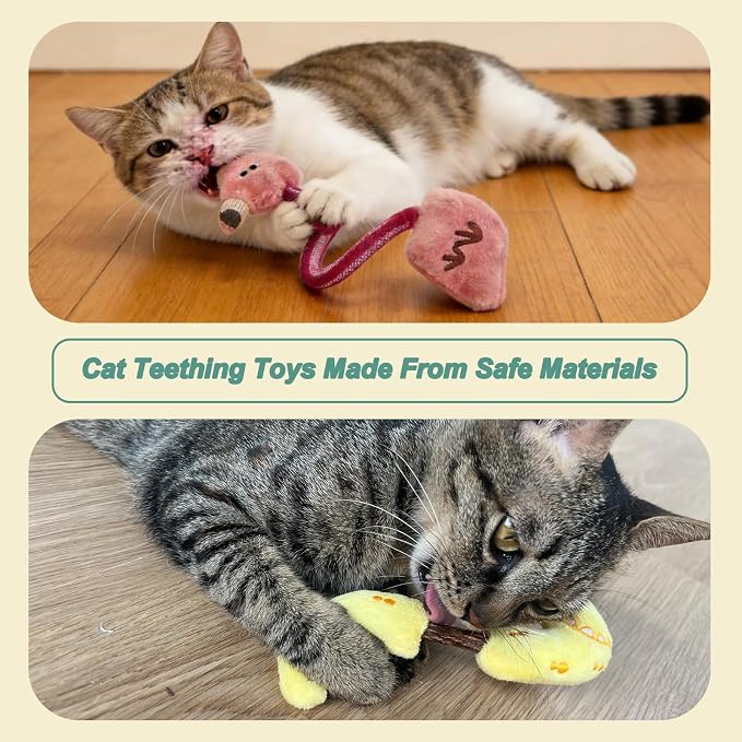 Interactive Cat Toys Set, Silvervine Chew Sticks and Catnip Spring Ropes, Indoor Cat Toys for Exercise and Dental Care, for All Cat Breeds (5 Packs) - Image 6