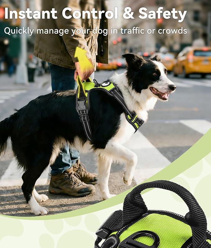 Joytale No Pull Dog Harness for Small Dogs, Front Clip, Green | Grab Handle for Instant Control, Padded & Adjustable Vest, Sturdy Metal D-Rings, for Safe Training & Daily Walking - Image 3