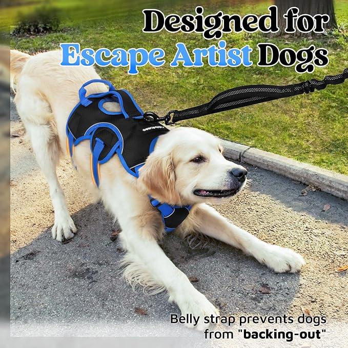 rabbitgoo Escape Proof Dog Harness for Medium, No Pull with Lift Handle | No Escape, Full Soft Padded, Reflective Adjustable Vest, Leash Clip for Walking Hiking Training, Blue & Black, Medium - Image 4