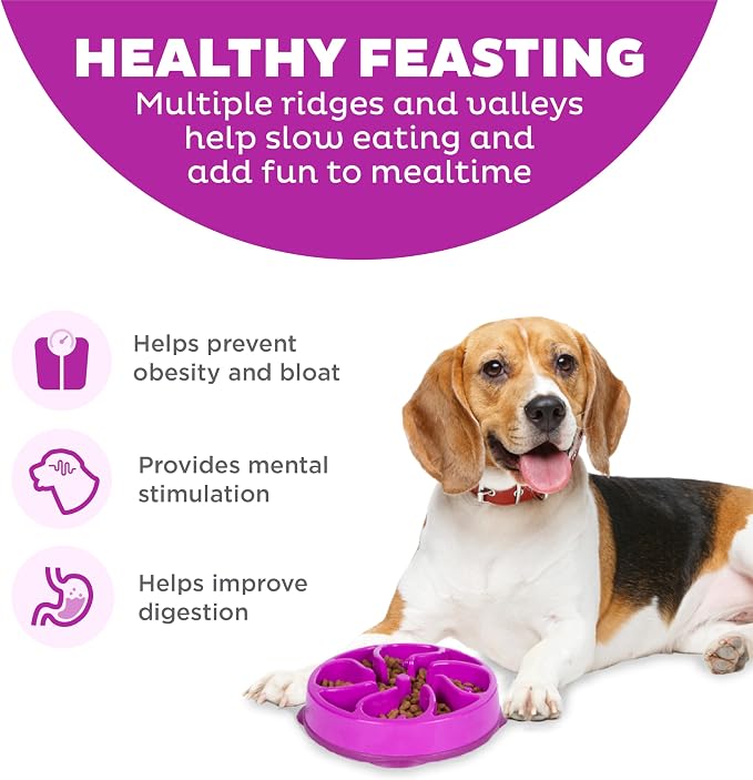 Outward Hound Fun Feeder Slo Bowl – Medium 2‑Cup Capacity, Slow Feeding, Small to Medium Dogs & Cats, Non-Slip, Purple, Flower Pattern | Slows Fast Eaters, Can Aid Digestion, Holds 2 Cups Dry or Wet Food, Non-Slip, Easy Clean, No BPA, Small to Medium D... - Image 2