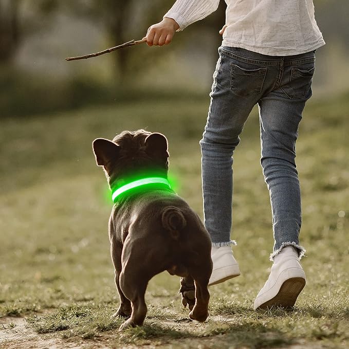 LED Dog Collar, Dog Light Up Collar,for Night Walking (Large, Green-2) | Full Adjustable,Waterproof,Nylon,Soft,Super Bright Light Collars for Small Medium and Large Dogs,USB C to Charge - Image 7