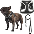 AMTOR Small Dog Harness with Leash Set, No Escape Easy Walk Puppy Harnesses for Training Walking, Step-in Reflective Soft Dogs Vest for XS S Medium Extra-Small Large Sized Dog(Black/Grey,XS) by AMTOR
