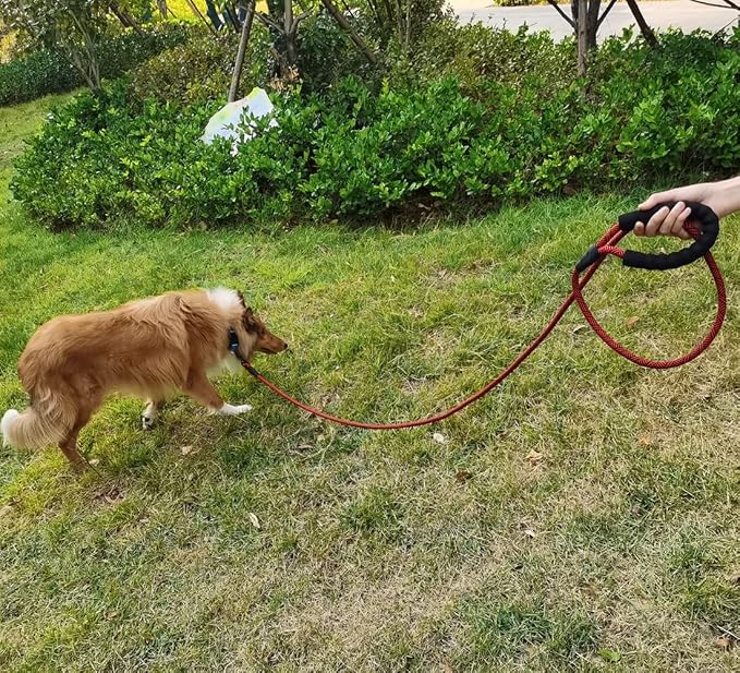 MayPaw 6ft Rope Dog Leash for Large Medium Dogs Soft Handle Dog Lead | 1/2-In Thick Lead, Soft Padded Handle Strong Nylon Pet Leash, 14+ Colors (1/2" * 6', Red Black) - Image 5