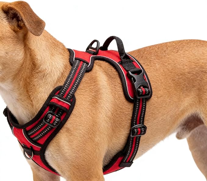 Red No-Pull Dog Harness with 2 Leash Clips，Soft Padded Vest for Large Dog, Adjustable Reflective Dog Vest Easy to Put on and Take Off,Neck: 18"~26", Chest: 25"~34",Red XL - Image 5