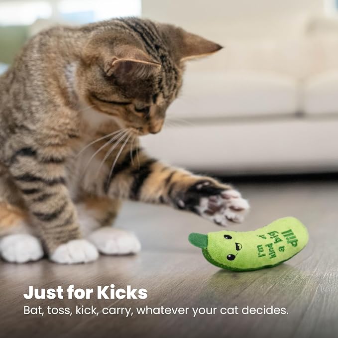 Catstages Crunchy Pickle Kicker Chew Cat Toy, Catnip & Dental Mesh, 6.5" | Crinkle Sounds, Long Plush Body for Bunny Kicking, Helps Keep Teeth Clean & Massages Gums, Indoor Enrichment, Cats & Kittens - Image 7
